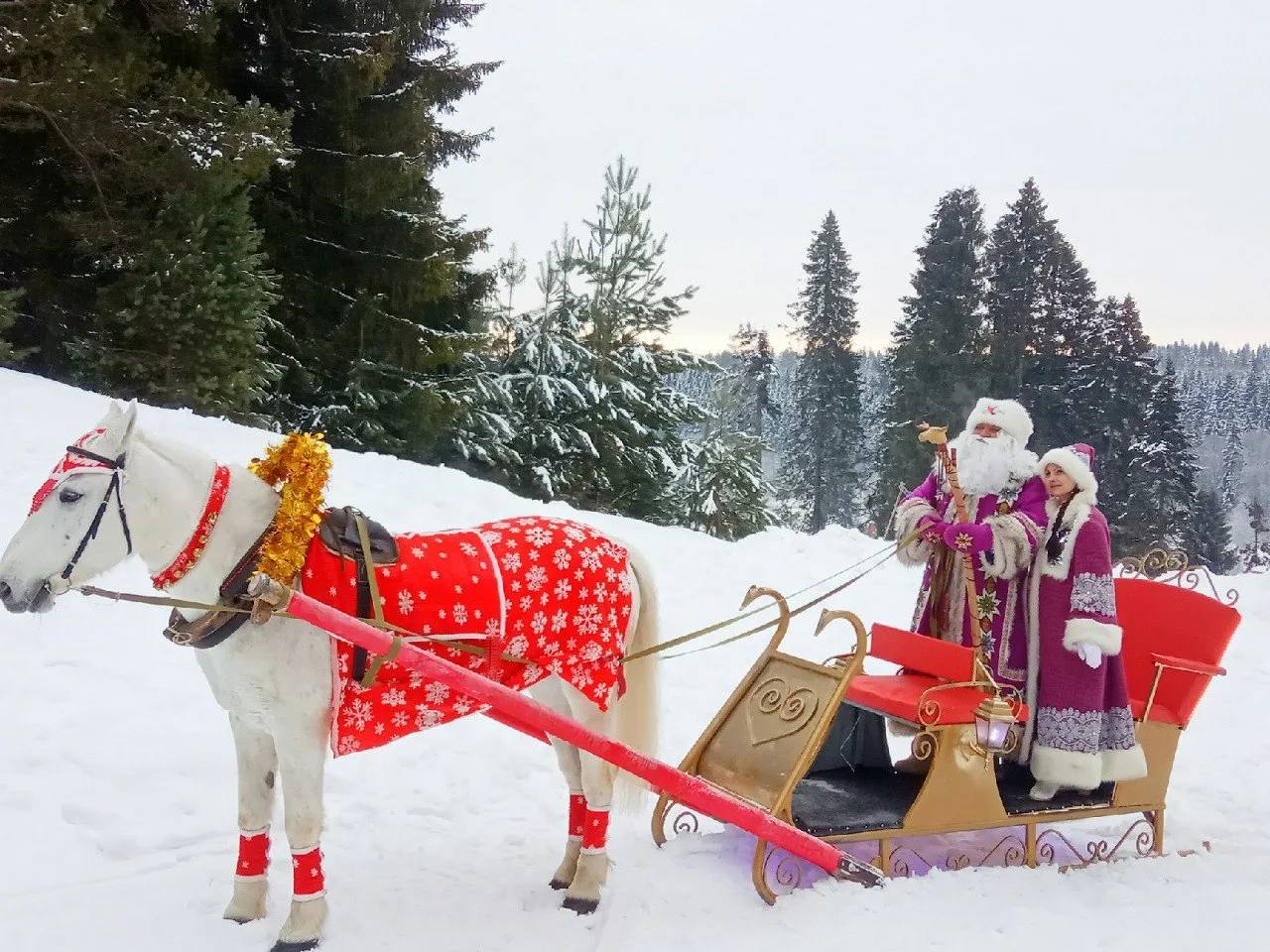Новогодний экскурсионный тур «Рождественская Удмуртия! В гости к Тол Бабаю»