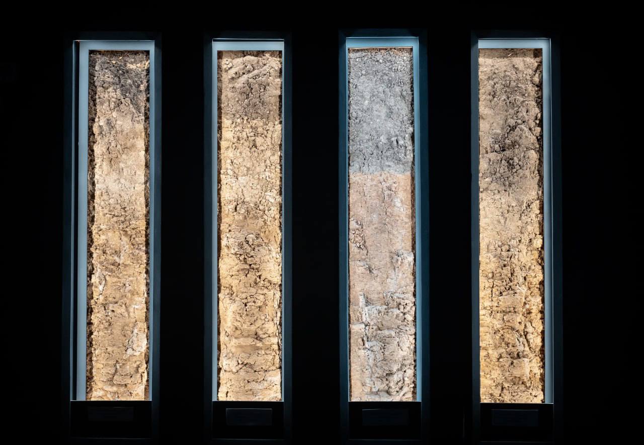 Бесплатная экскурсия в музее Почвоведения ко Всемирному дню почв