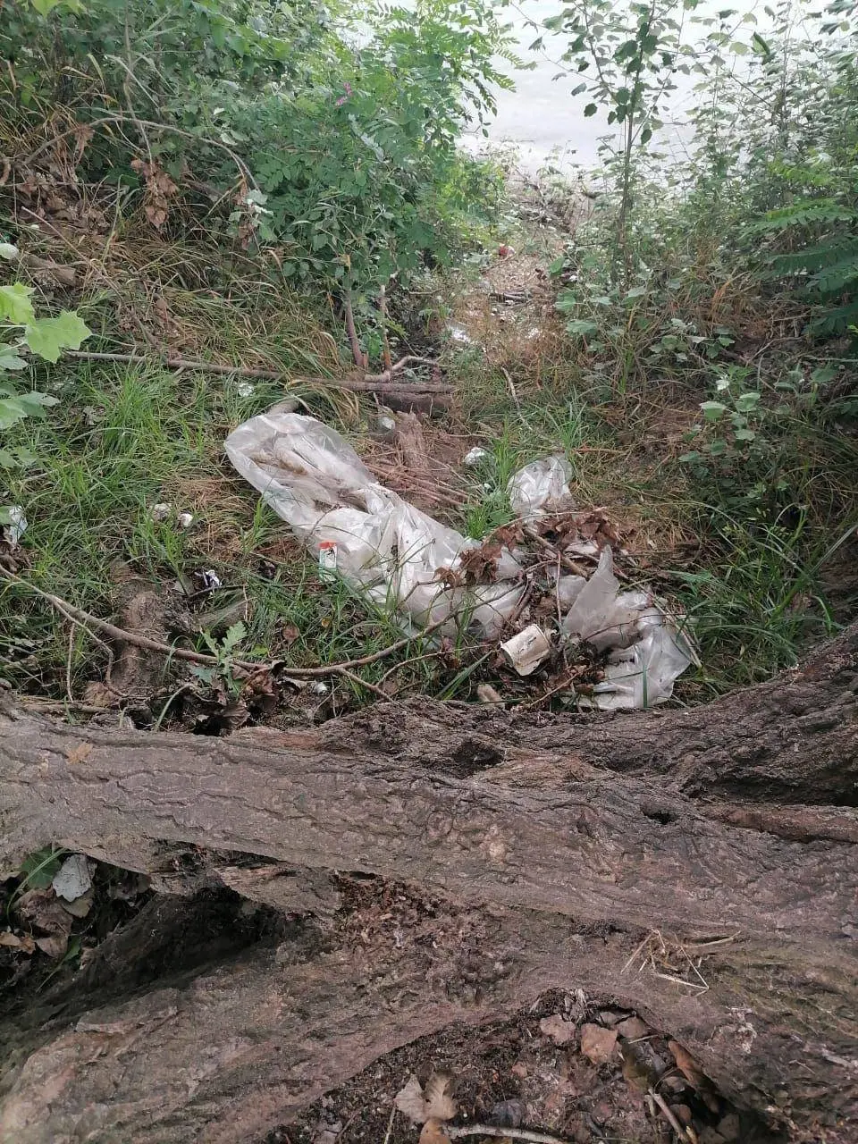 Наводим чистоту на природе 🌱