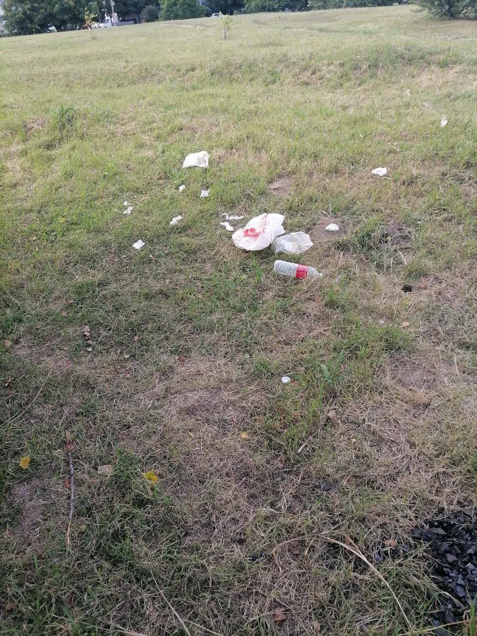 Наводим чистоту на природе 🌱