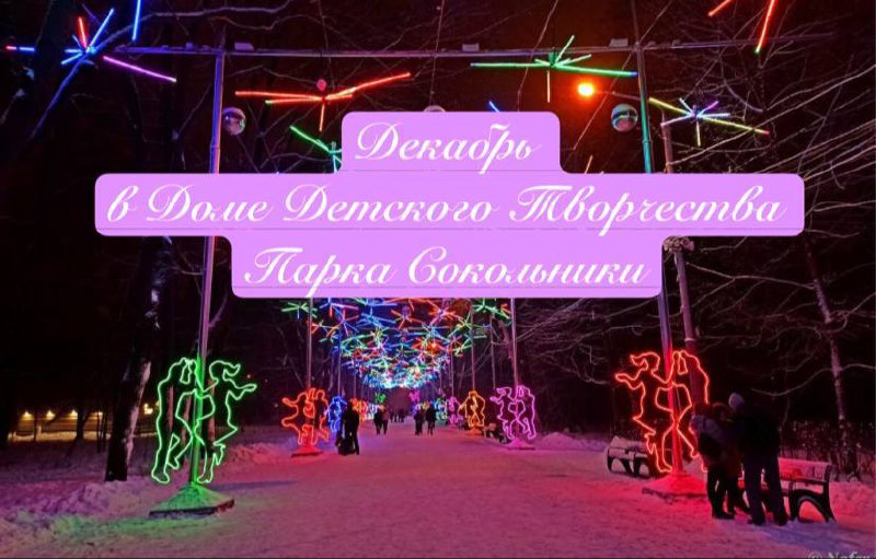 Зимняя олимпиада