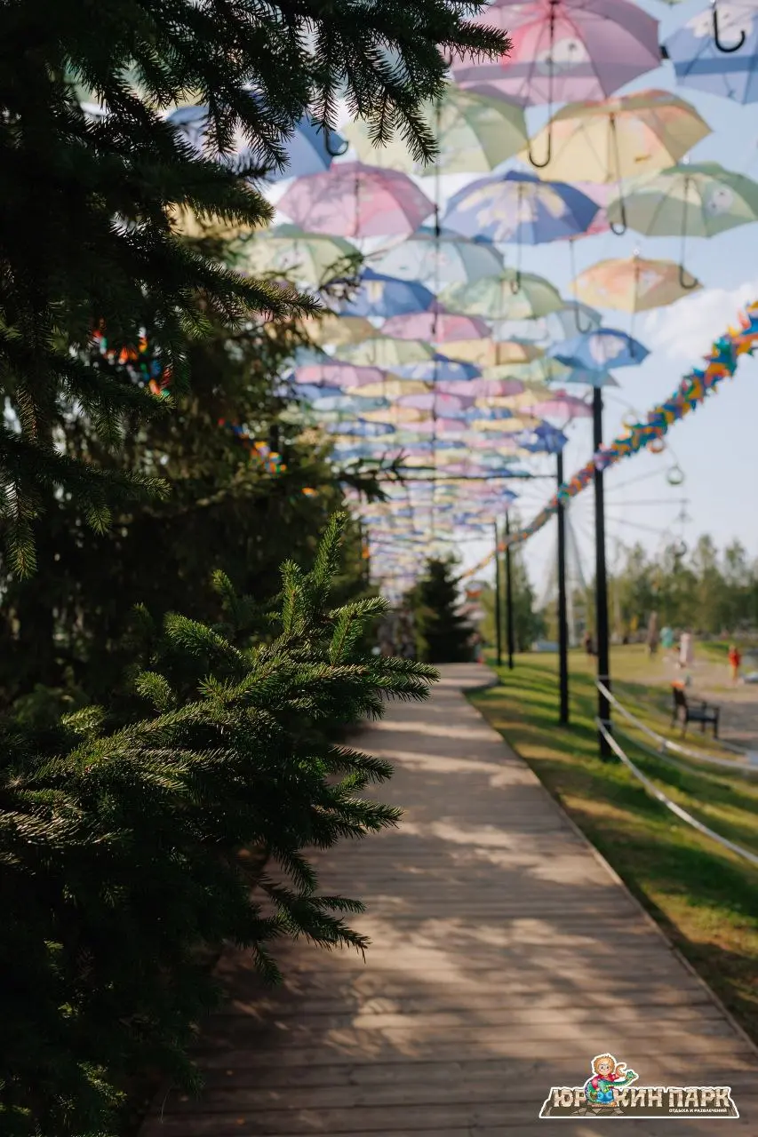 День именинника в Юркин Парк