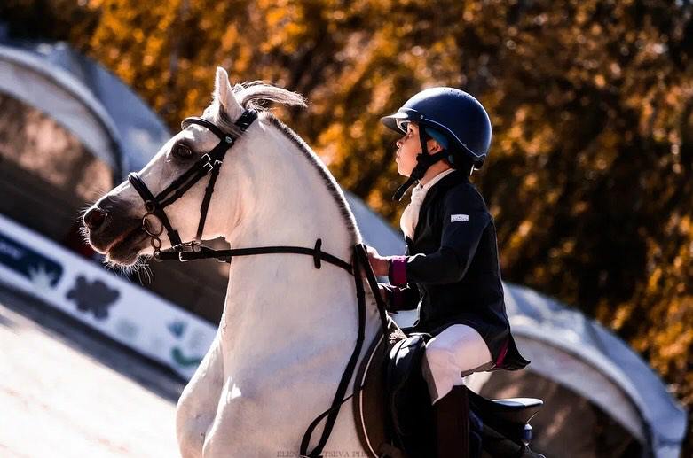 Научимся кататься на лошадках?