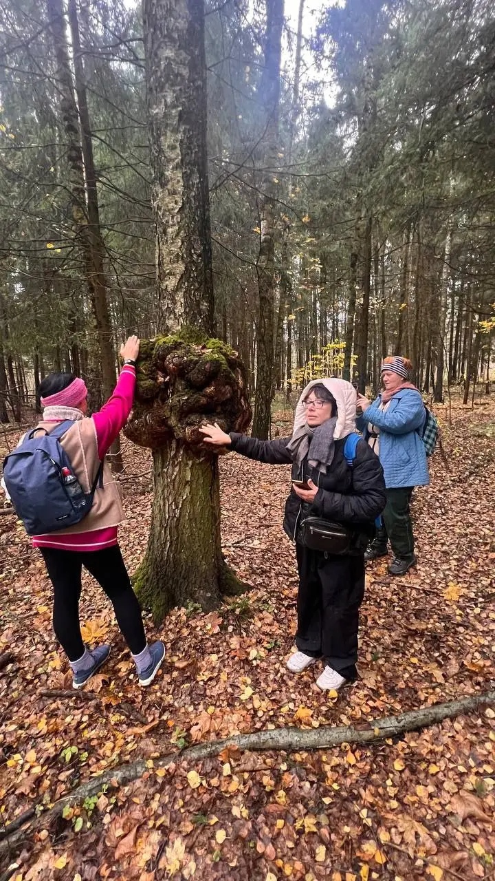 НОВЫЙ ИЕРУСАЛИМ - КАТУШКИ ТЕСЛА