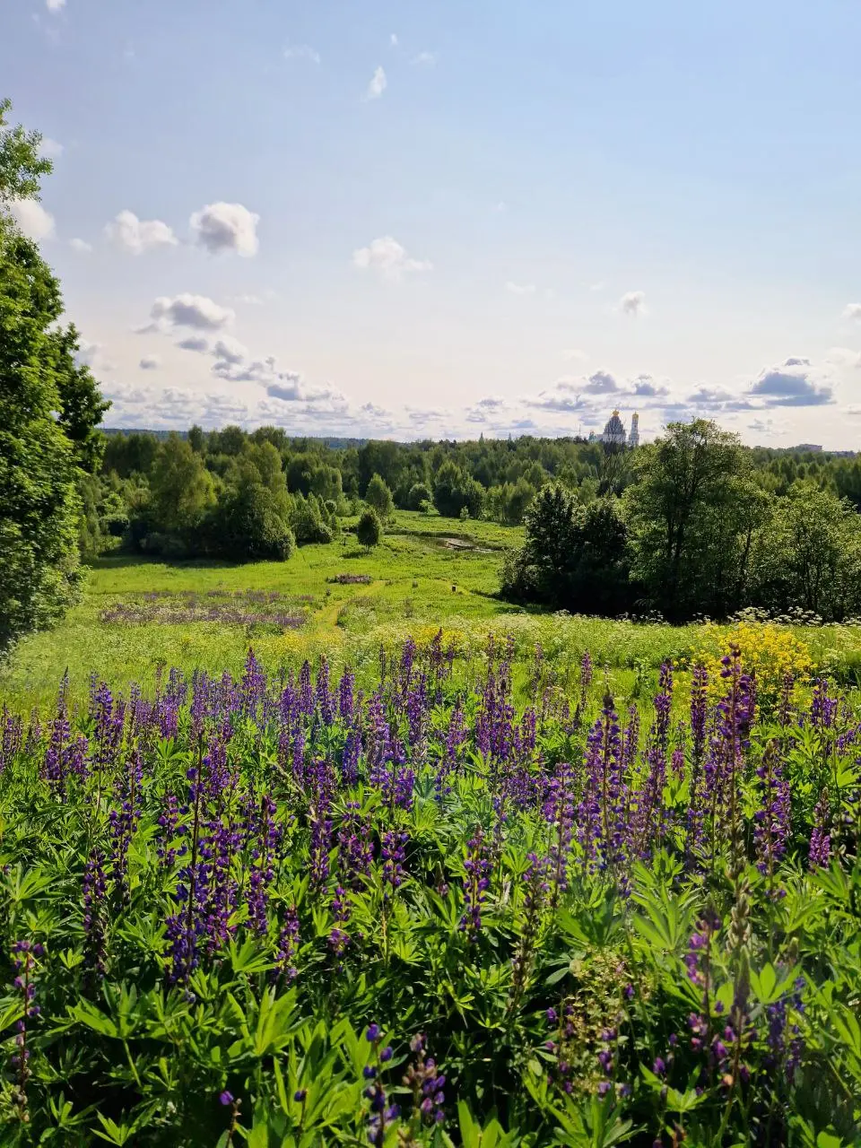 НОВЫЙ ИЕРУСАЛИМ - КАТУШКИ ТЕСЛА