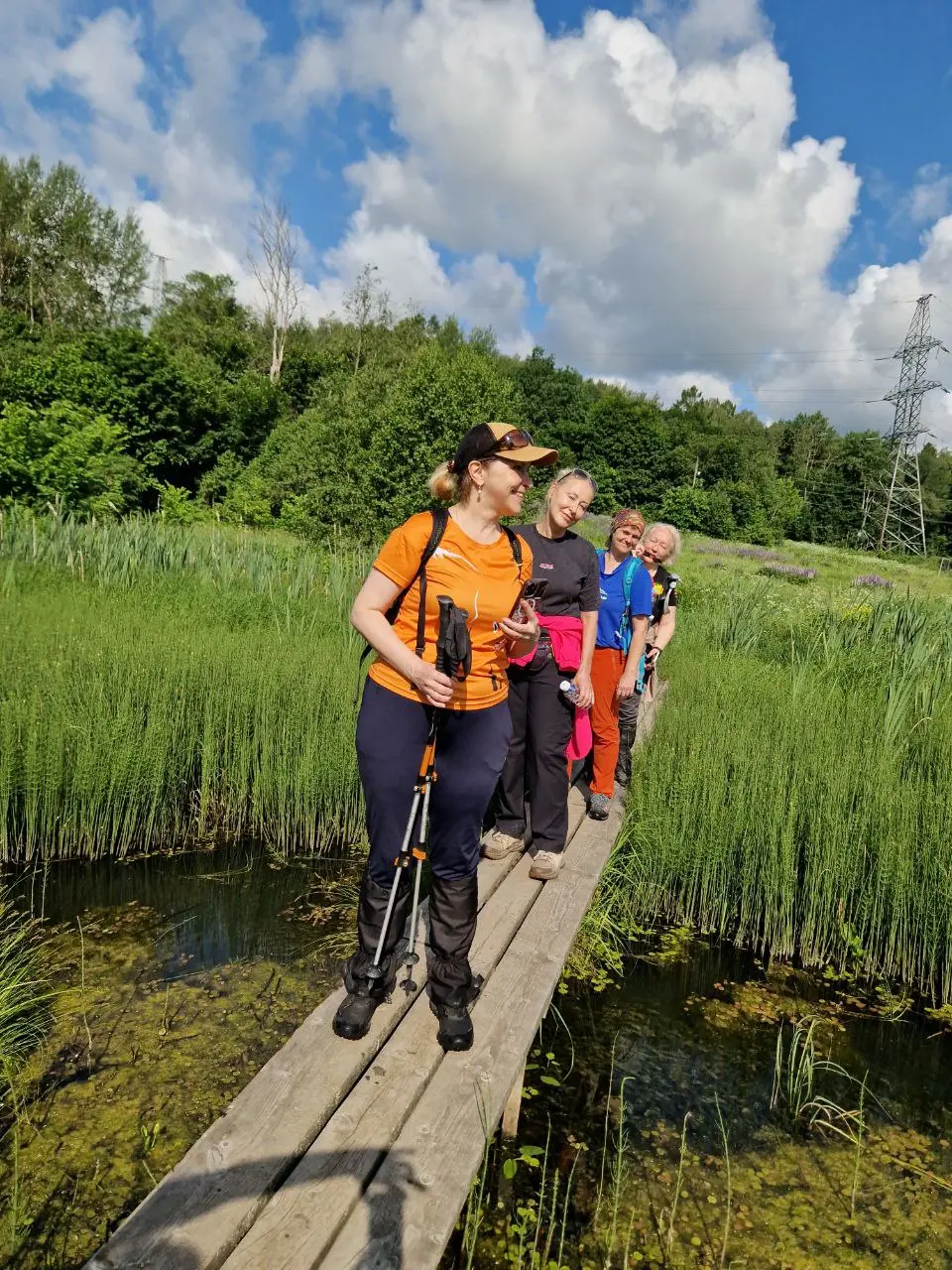 НОВЫЙ ИЕРУСАЛИМ - КАТУШКИ ТЕСЛА