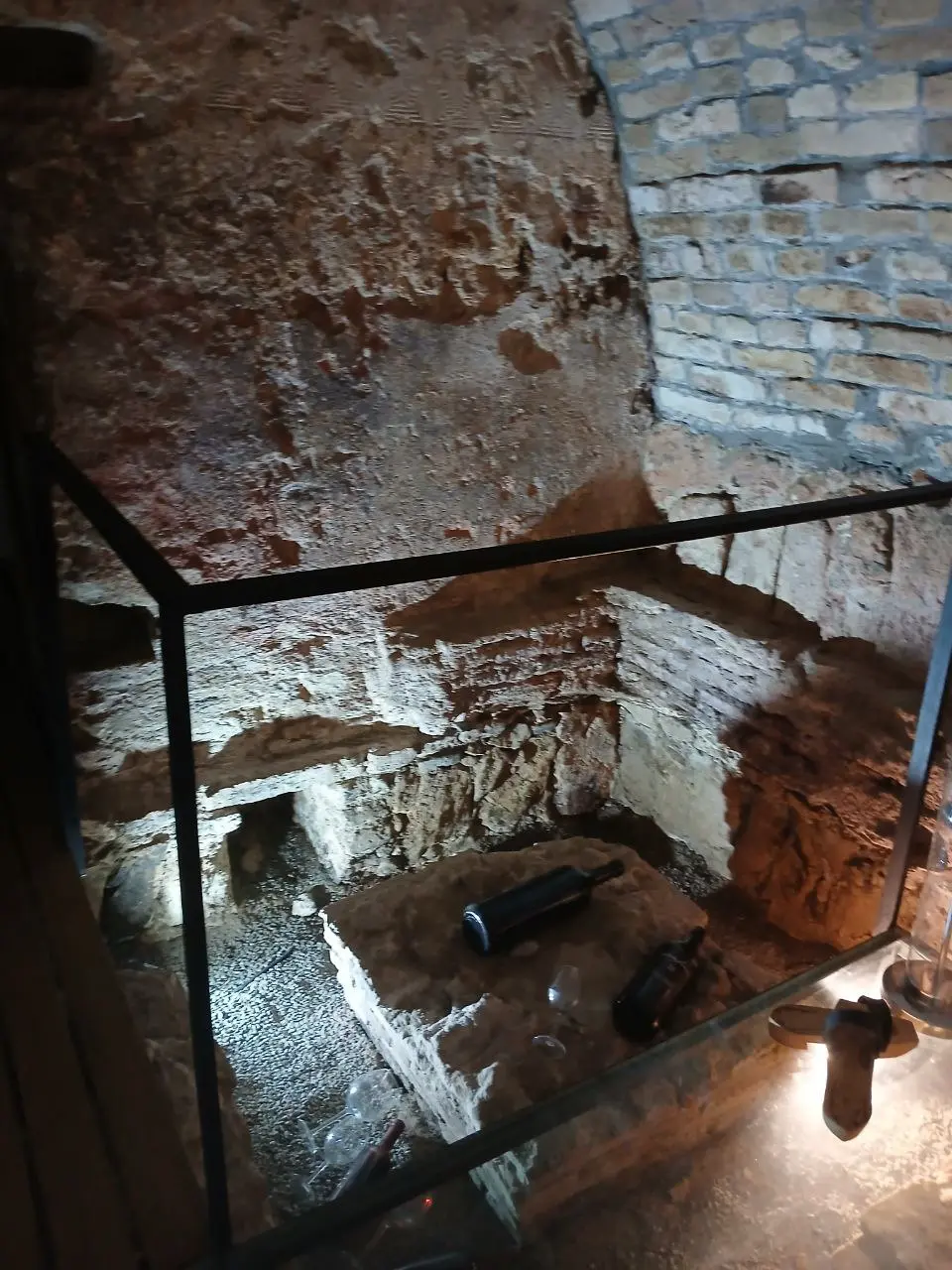 тур по Дунаю и Тисе (речная прогулка с купанием и старинной винарией)