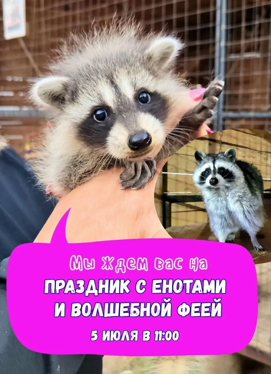 яркий праздник на ферме 5 июля