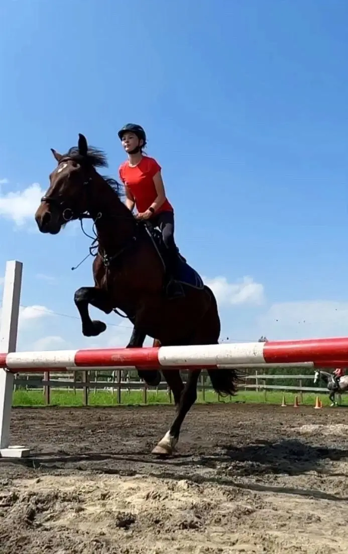 День открытых дверей в конном клубе Red horse