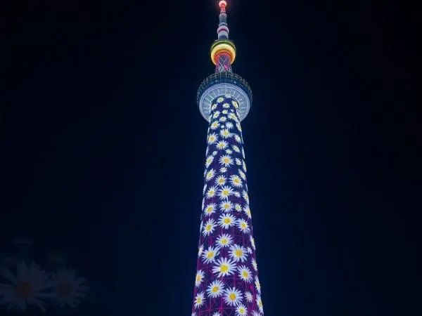 В Омске телебашня превратится в символ любви