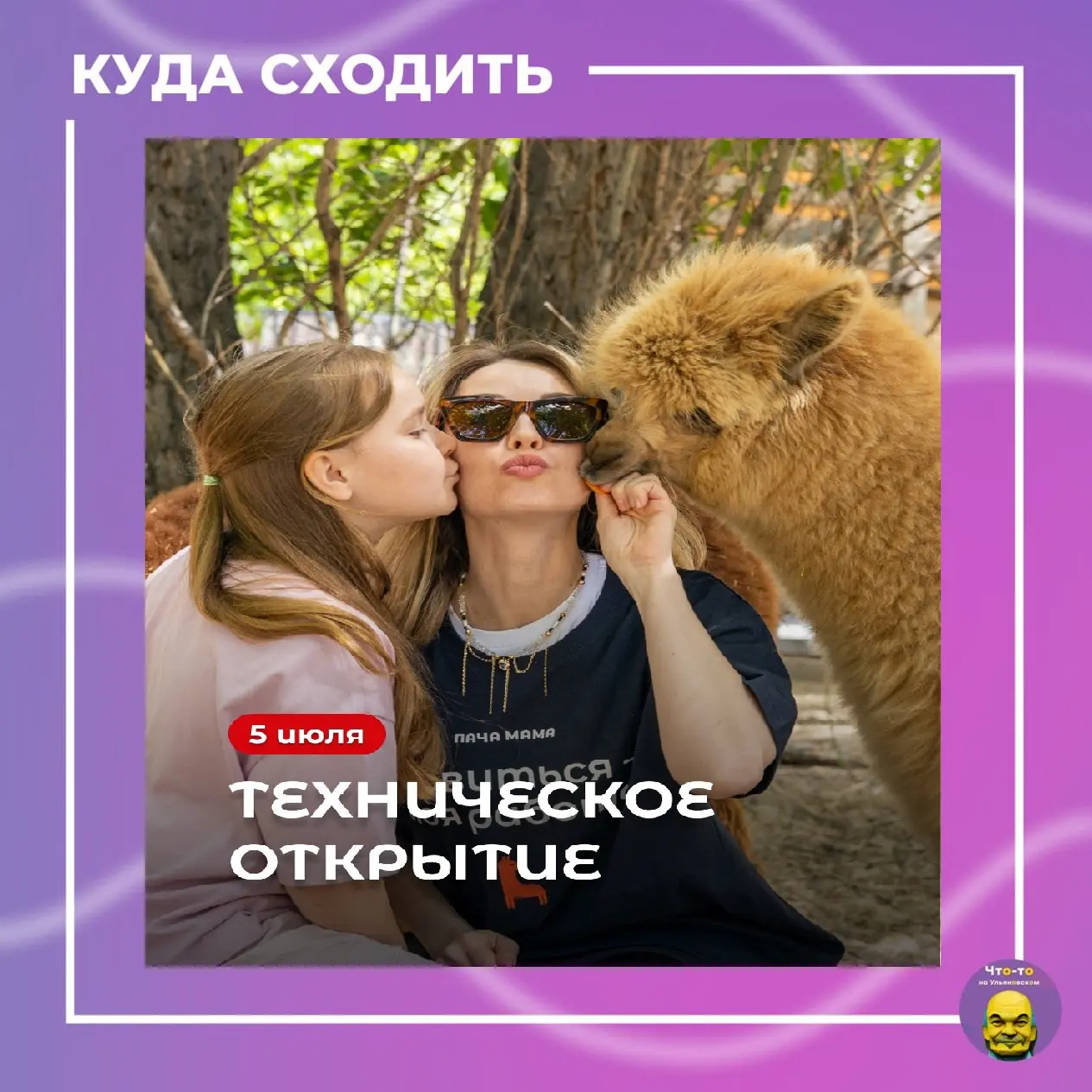 Альпака-парк в Ульяновске