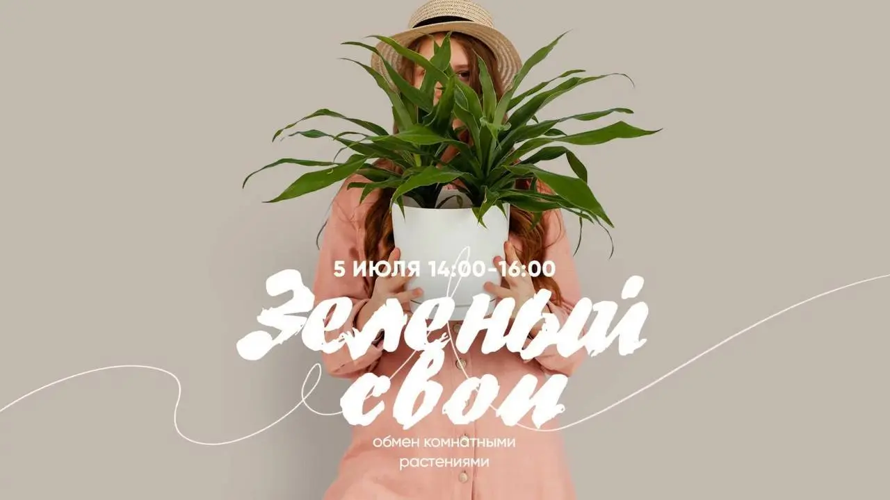 Зеленый своп комнатных растений в ЕКБ