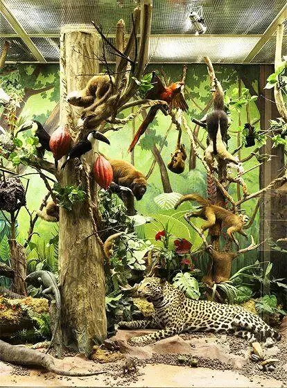 Идем бесплатно в Дарвиновский музей