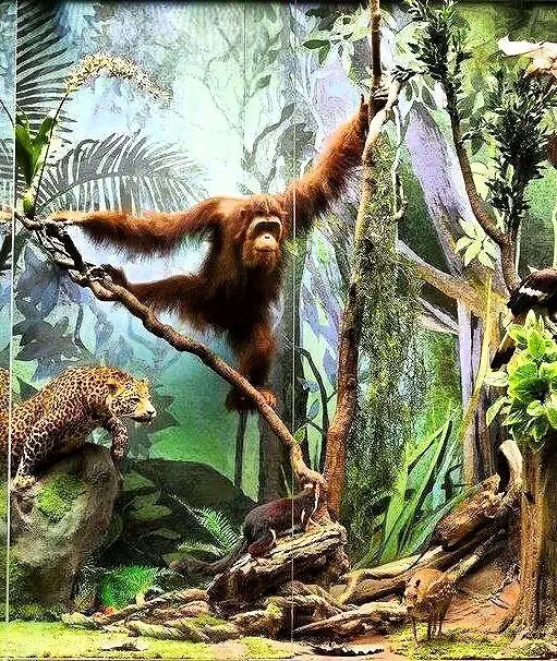 Идем бесплатно в Дарвиновский музей