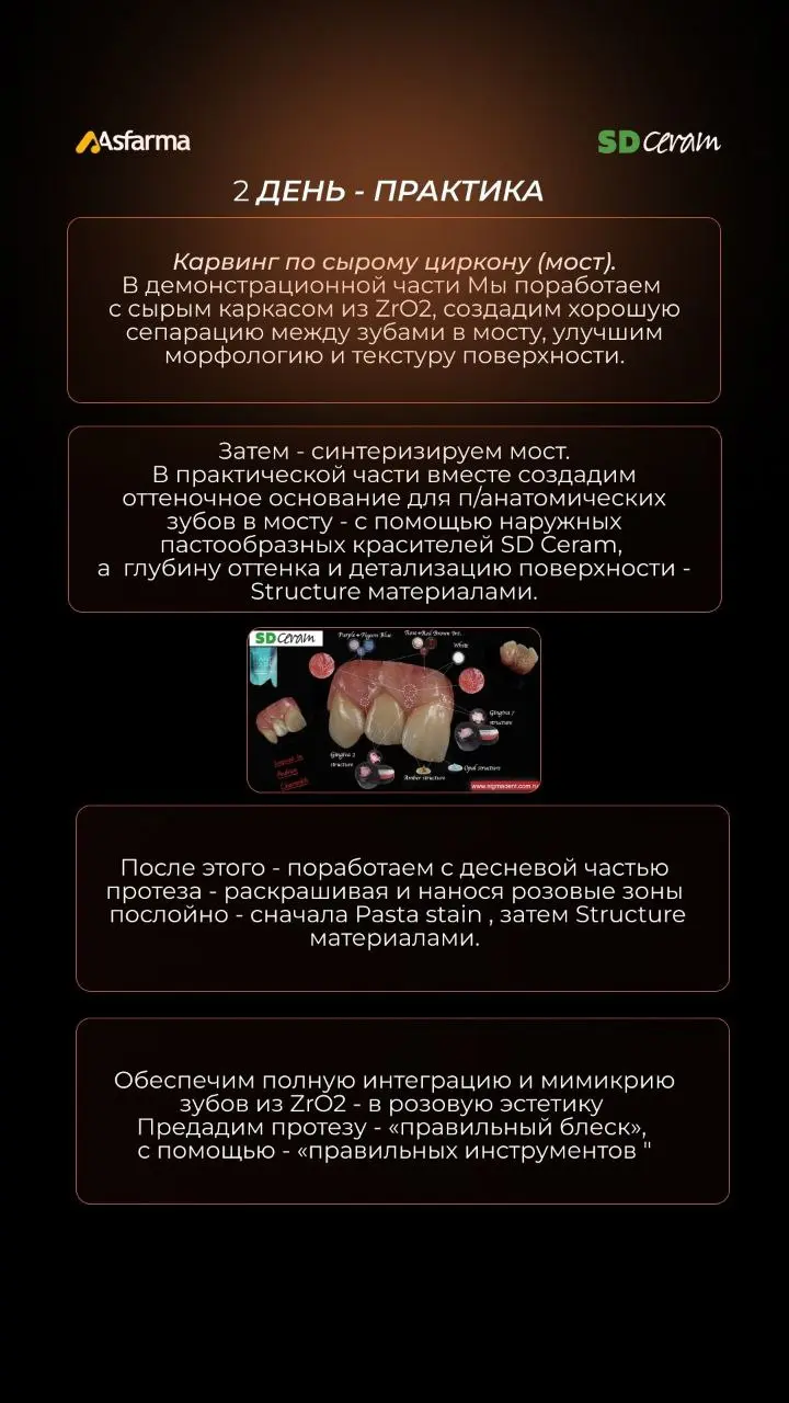 Бело - Красная Эстетика и нанесение циркониевых масс SD Ceram, 18-19 октября 2025, Волгоград