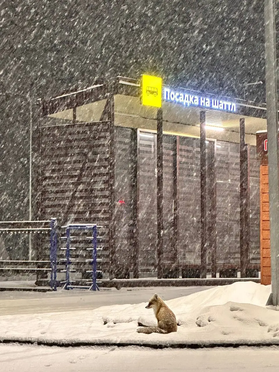 Закрытие зимнего сезона на Эльбрусе 2024/2025