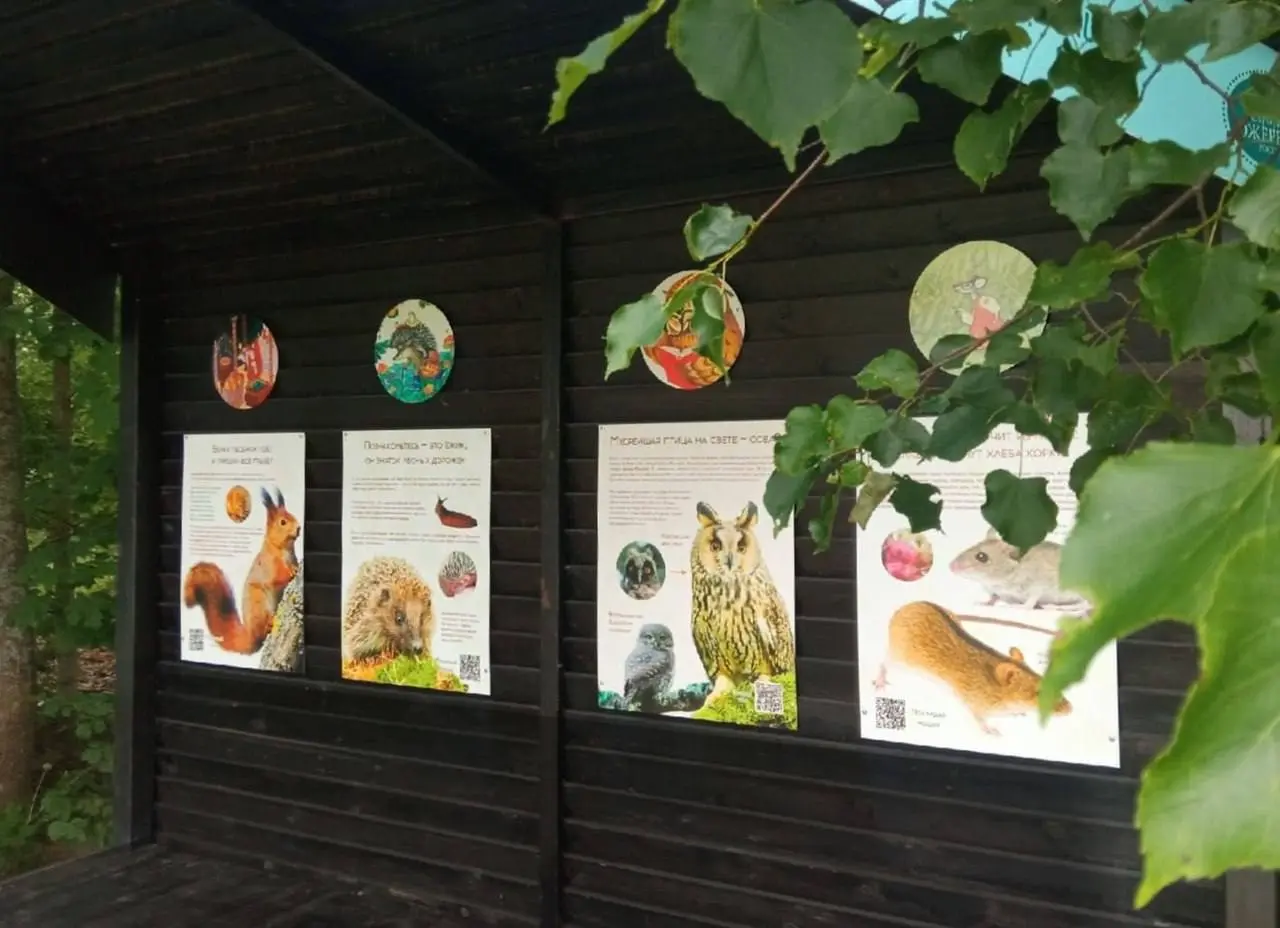 Новая экспозиция «Сказки о животных и птицах» в Изборске