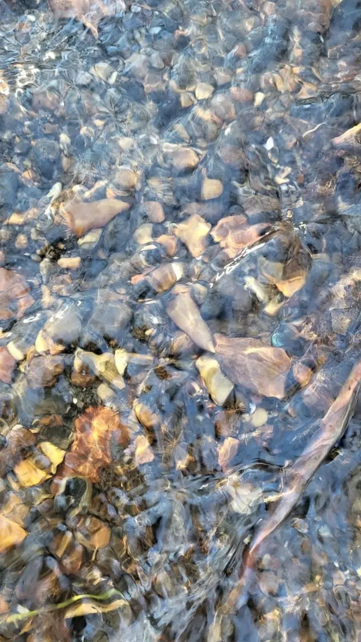 15 июля юные знатоки парка "Фили"