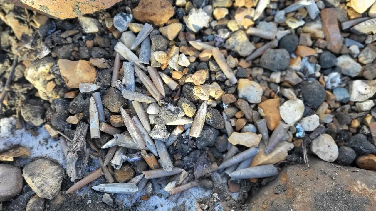 15 июля юные знатоки парка "Фили"