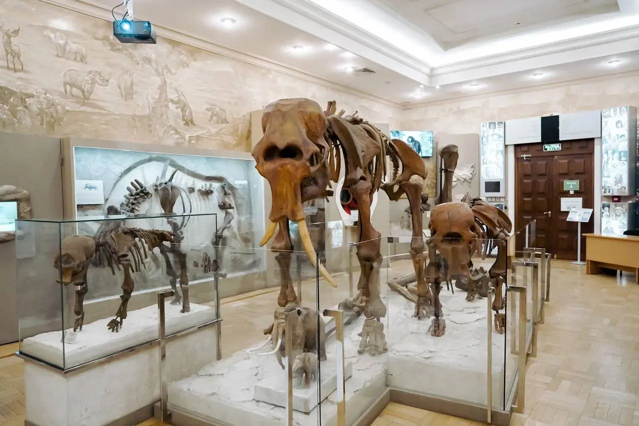 Трогательная история в музее