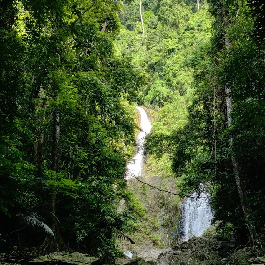 трейл забег в Khao Phanom Bencha National Park