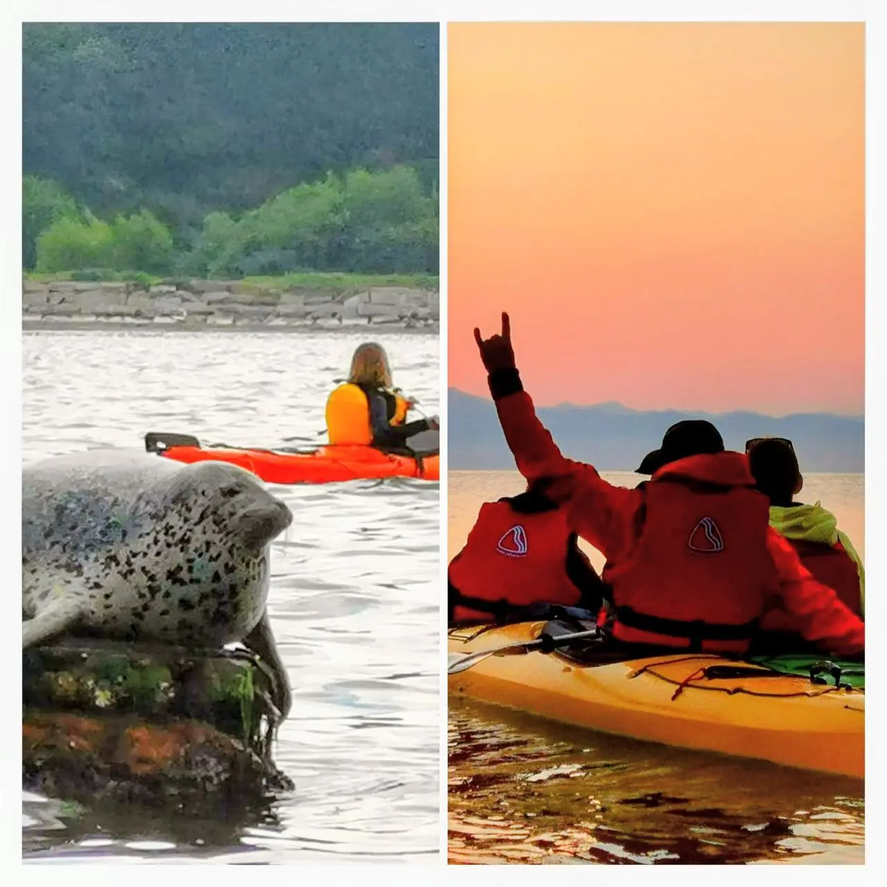 Прогулки на каяках в выходные 19 июля 2025 года