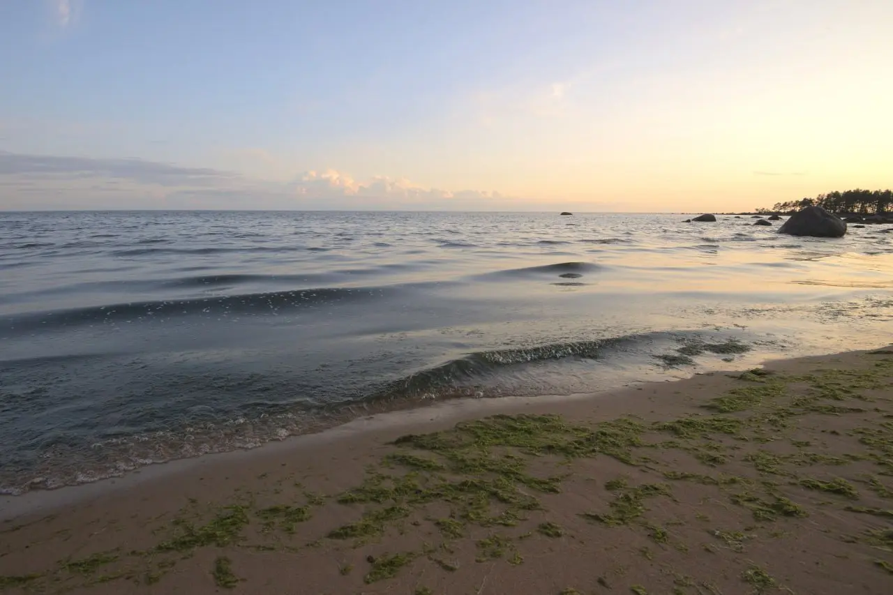 Островной выезд