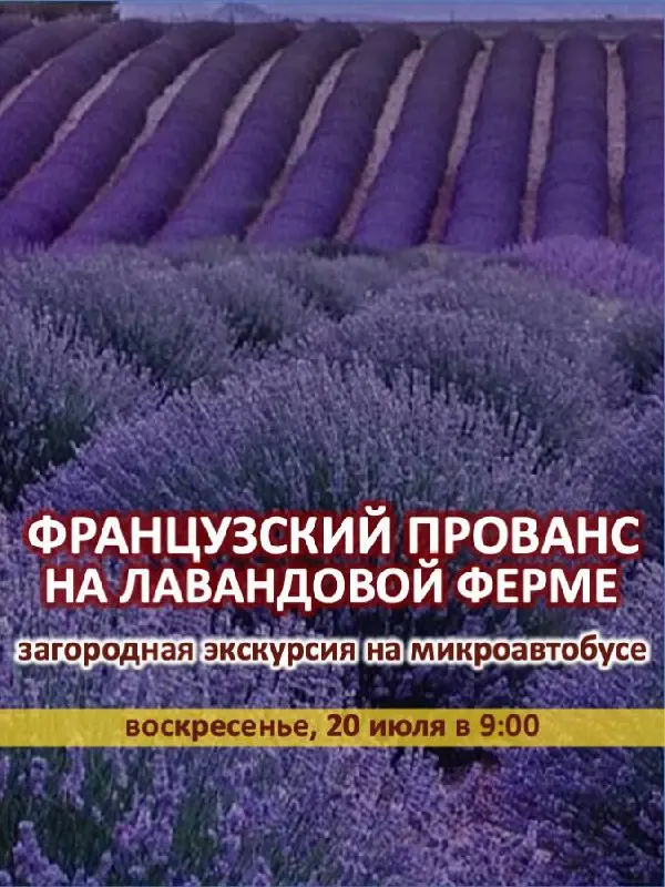 ФРАНЦУЗСКИЙ ПРОВАНС НА ЛАВАНДОВОЙ ФЕРМЕ ПОДМОСКОВЬЯ