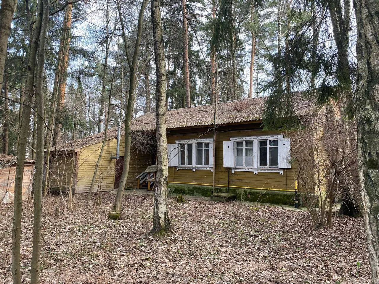 Экскурсия по Переделкино: литература, история и легенды