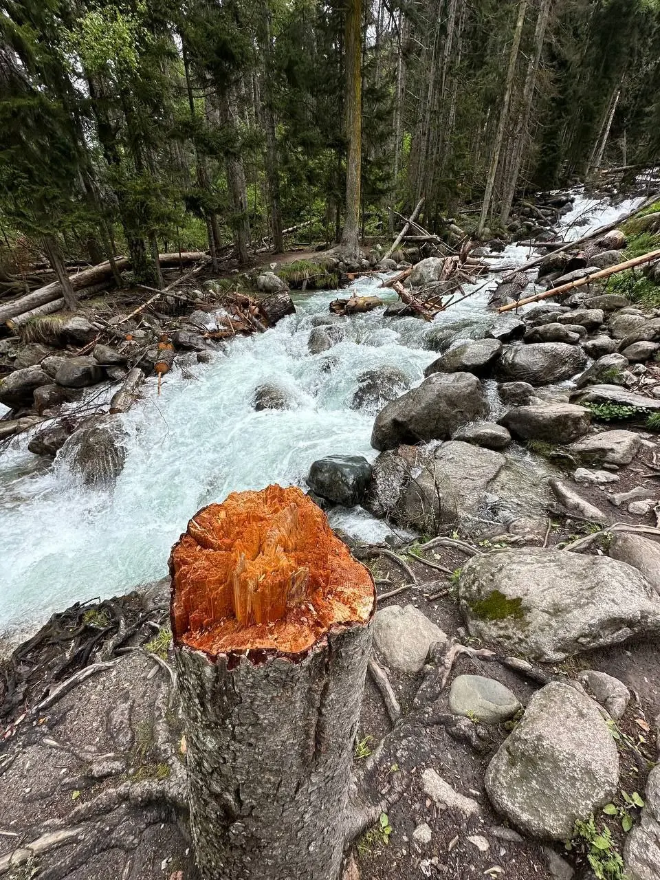 экскурсия с посещением природных достопримечательностей в горах