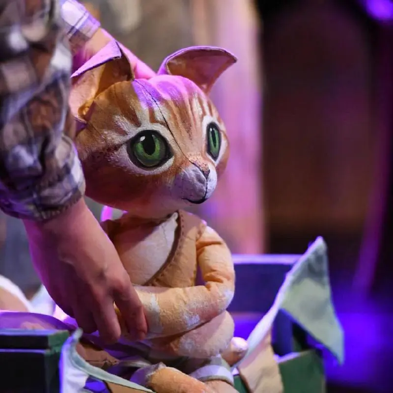 Спектакль «Петсон и Финдус» в Буэнос-Айресе