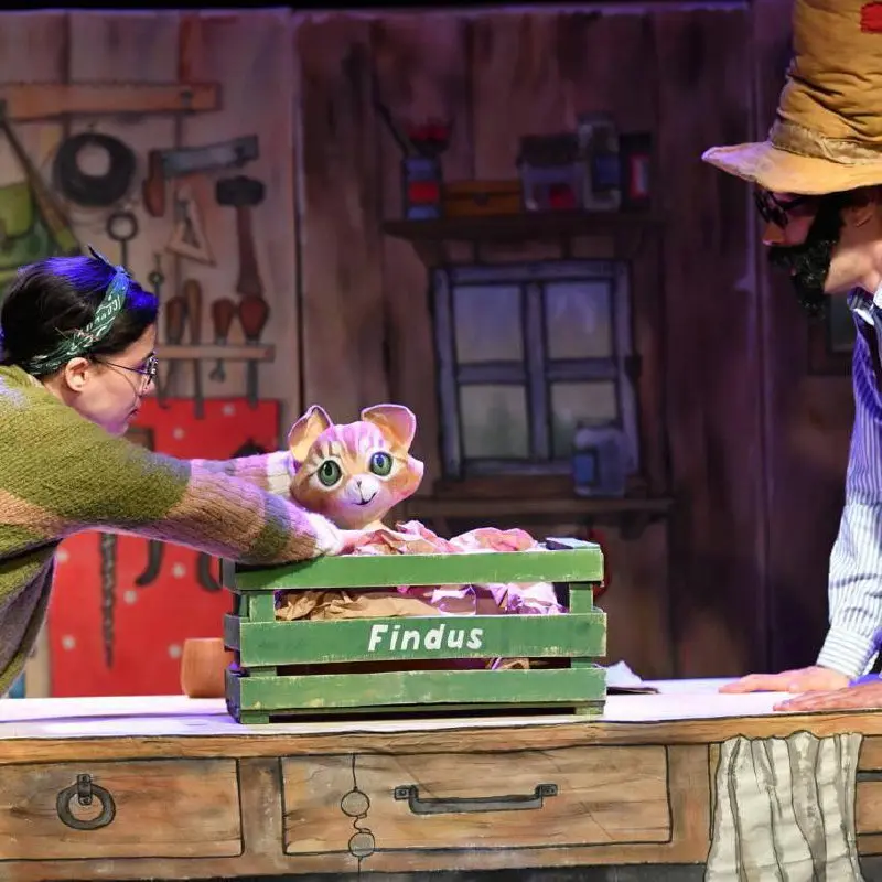 Спектакль «Петсон и Финдус» в Буэнос-Айресе