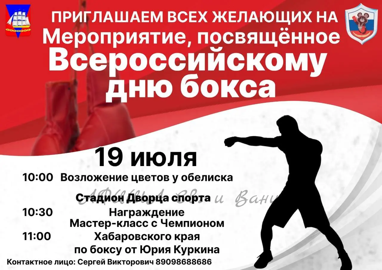 Мероприятие, посвящённое Всероссийскому дню бокса
