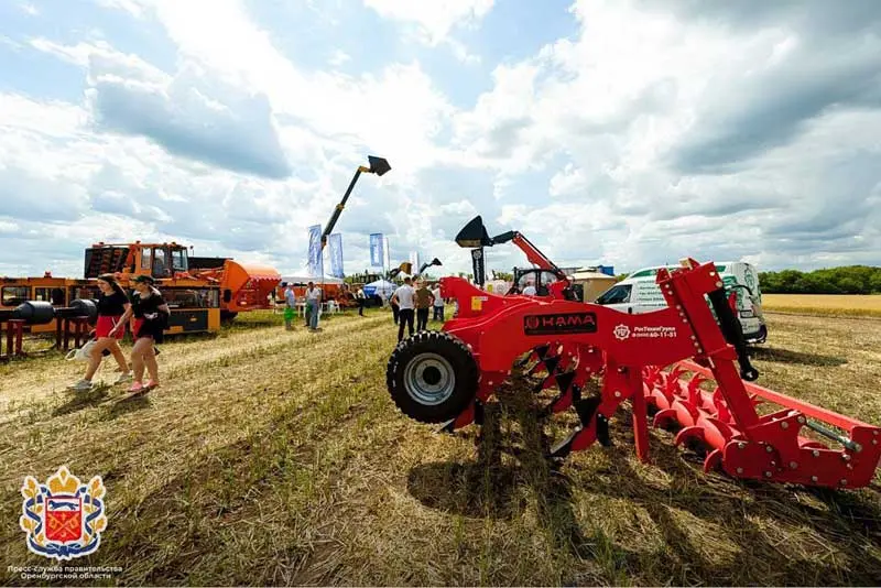 областной День поля