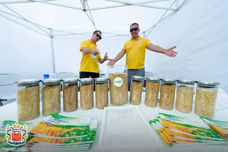 областной День поля