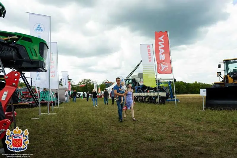 областной День поля