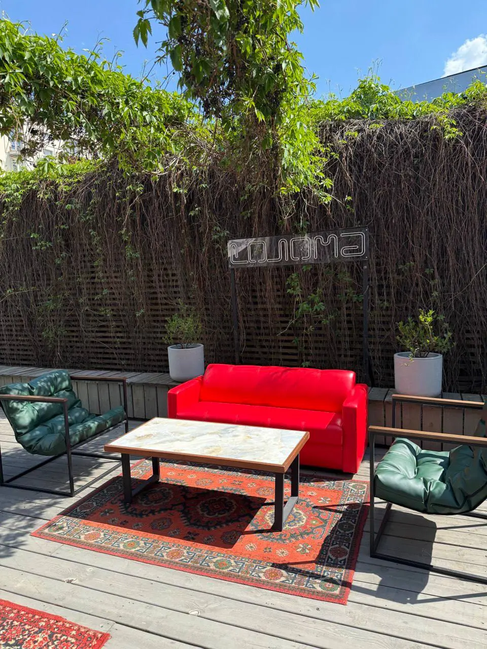 Кинофестиваль в ресторане Soloma