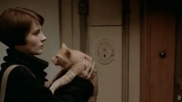 Камерный вечер в компании ценителей французских детективных мелодрам