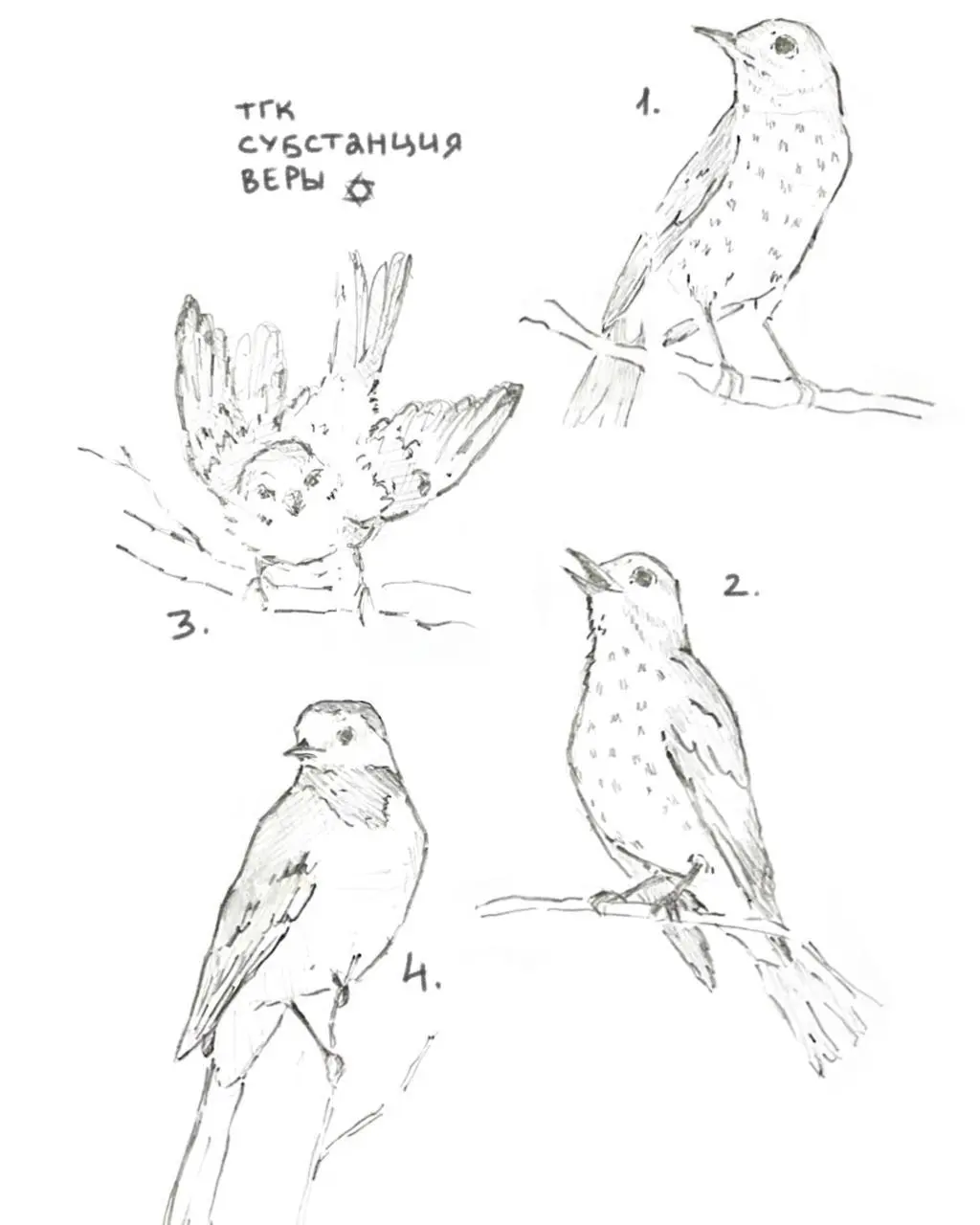 колоть в нашей студии, заглядывайте(сь)  💫