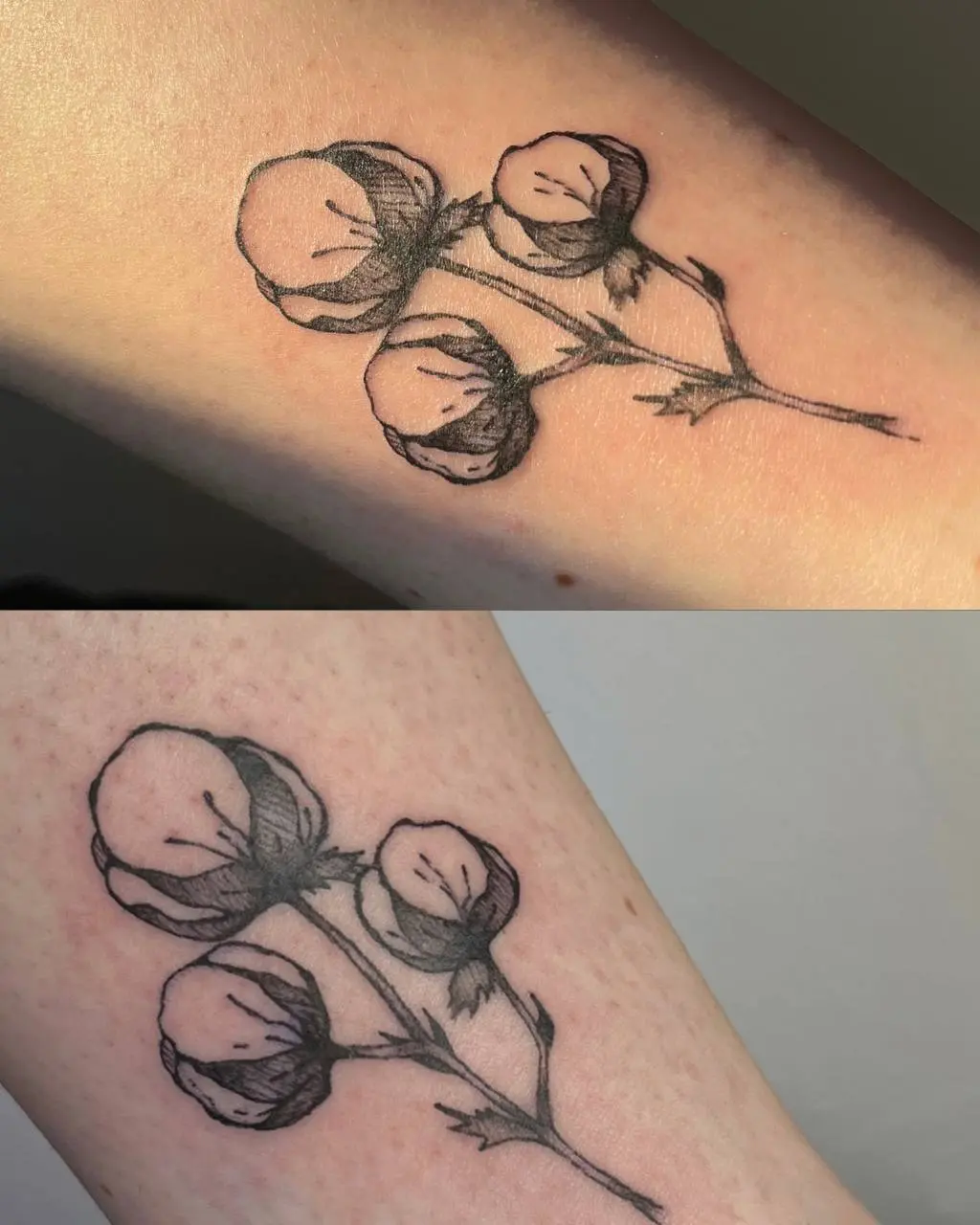 колоть в нашей студии, заглядывайте(сь)  💫