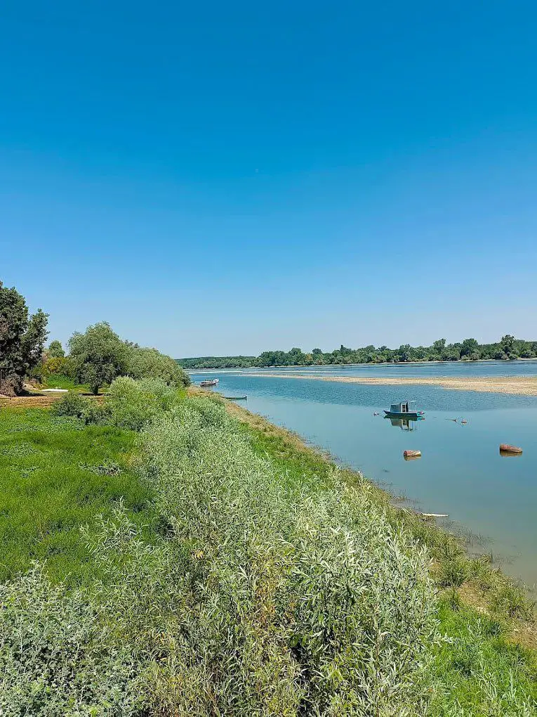 Речной тур Дунай-Тиса с купанием на пляже и винарией