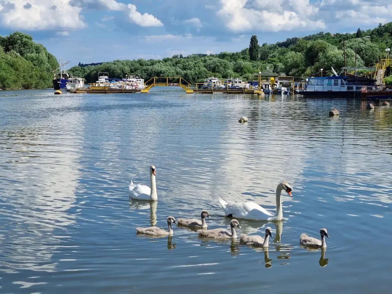 Речной тур Дунай-Тиса с купанием на пляже и винарией