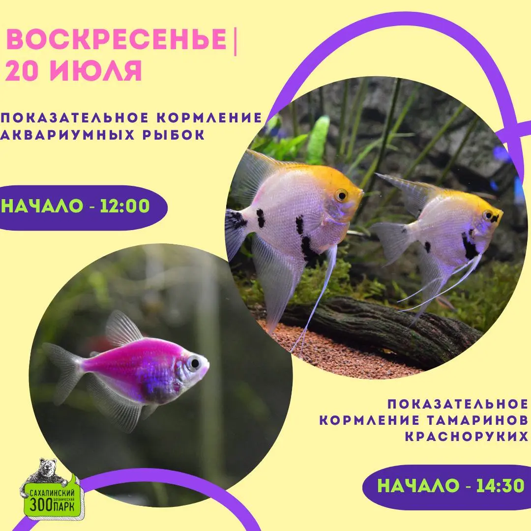 Выходные дни в зооботпарке: показательные кормления + познавательная площадка