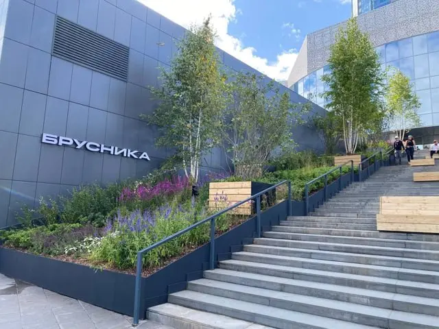 Временное оформление территории у центра