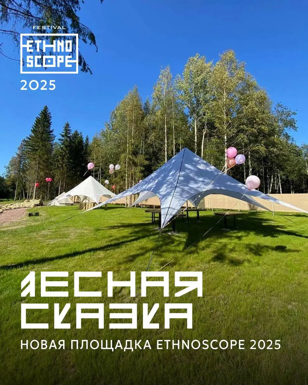 WILD ECSTATIC DANCE FEST and ETHNOSCOPE Festival 2025