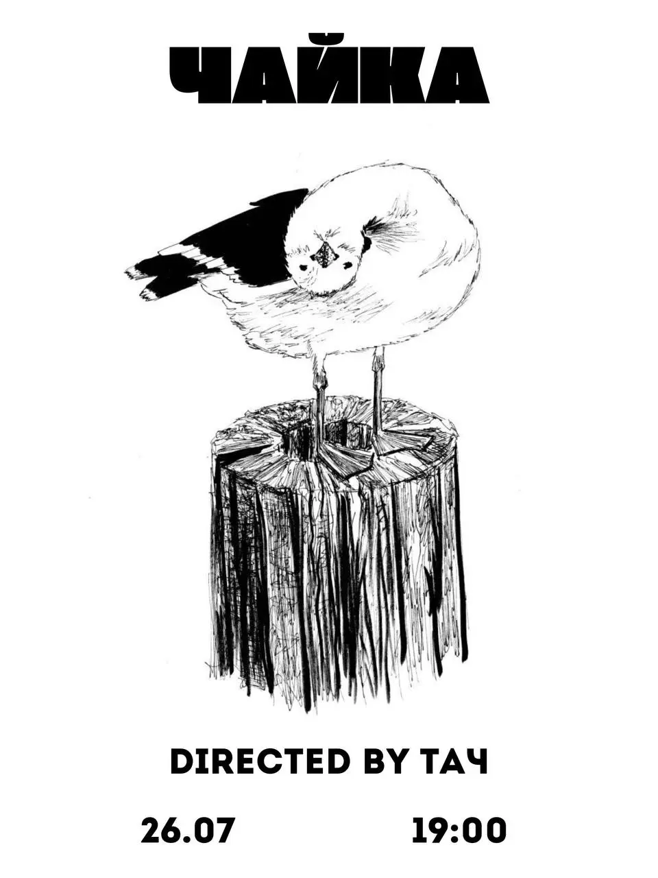 Чайка в Чайке