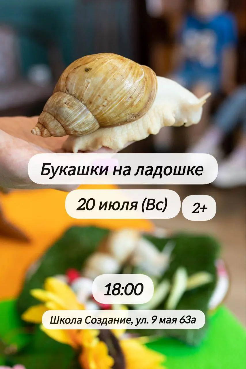 Бал у Мухи-Цокотухи