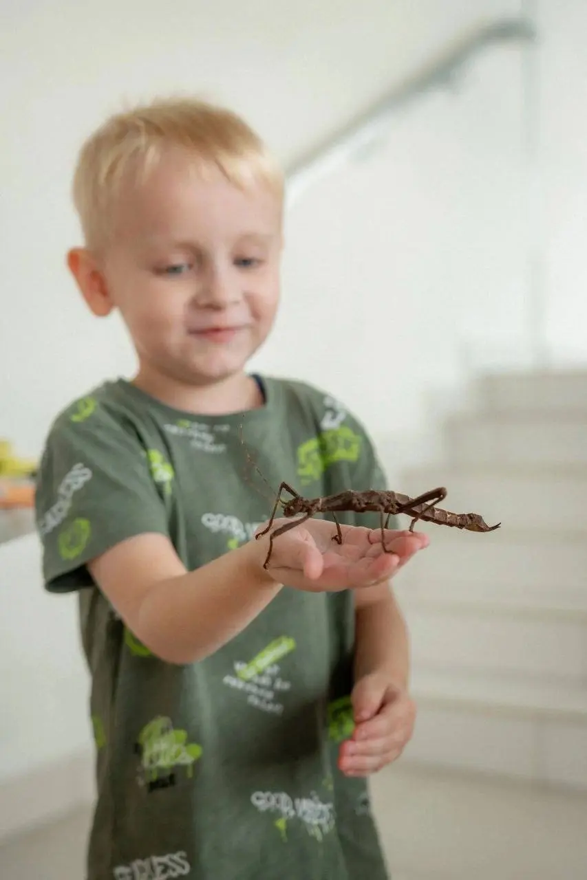 Бал у Мухи-Цокотухи