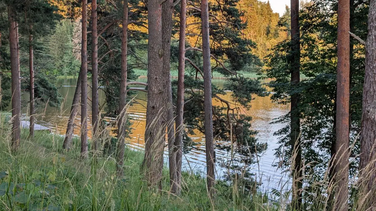 обучающий пленэр