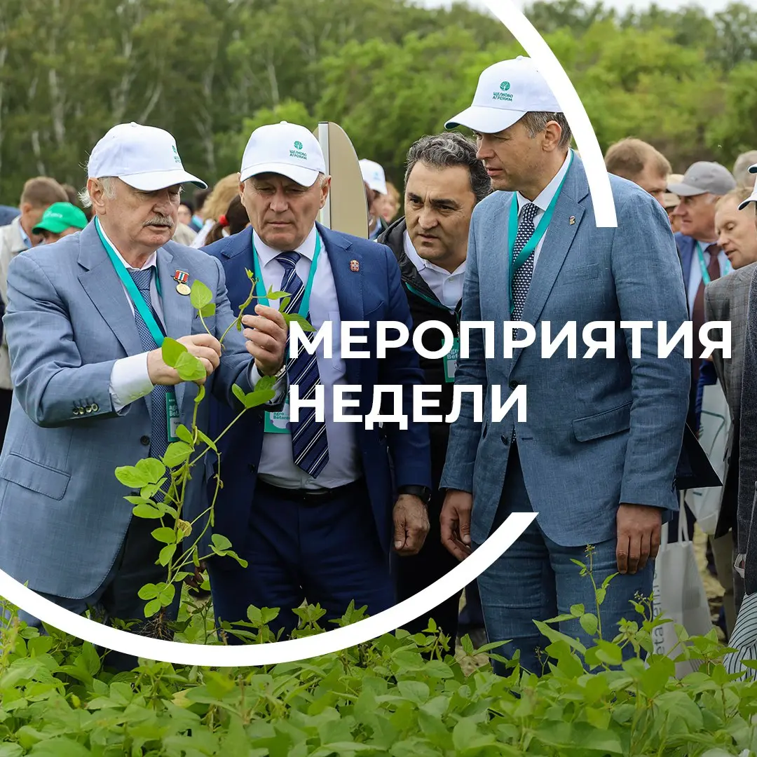 МЕРОПРИЯТИЯ НЕДЕЛИ